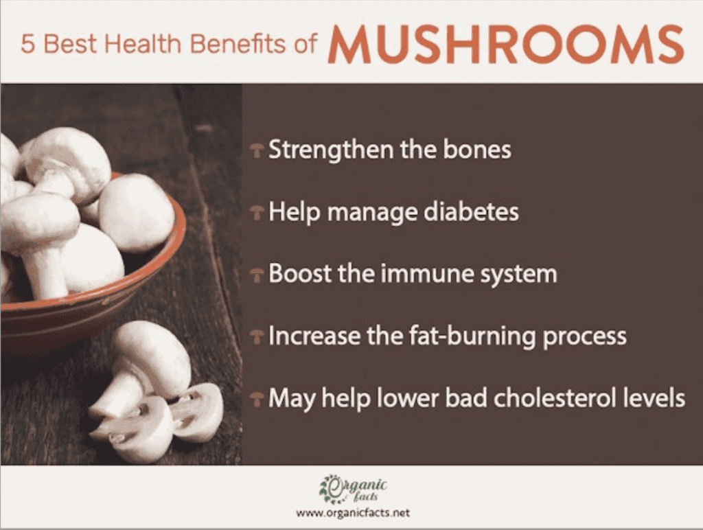 Health Benefits of Mushrooms