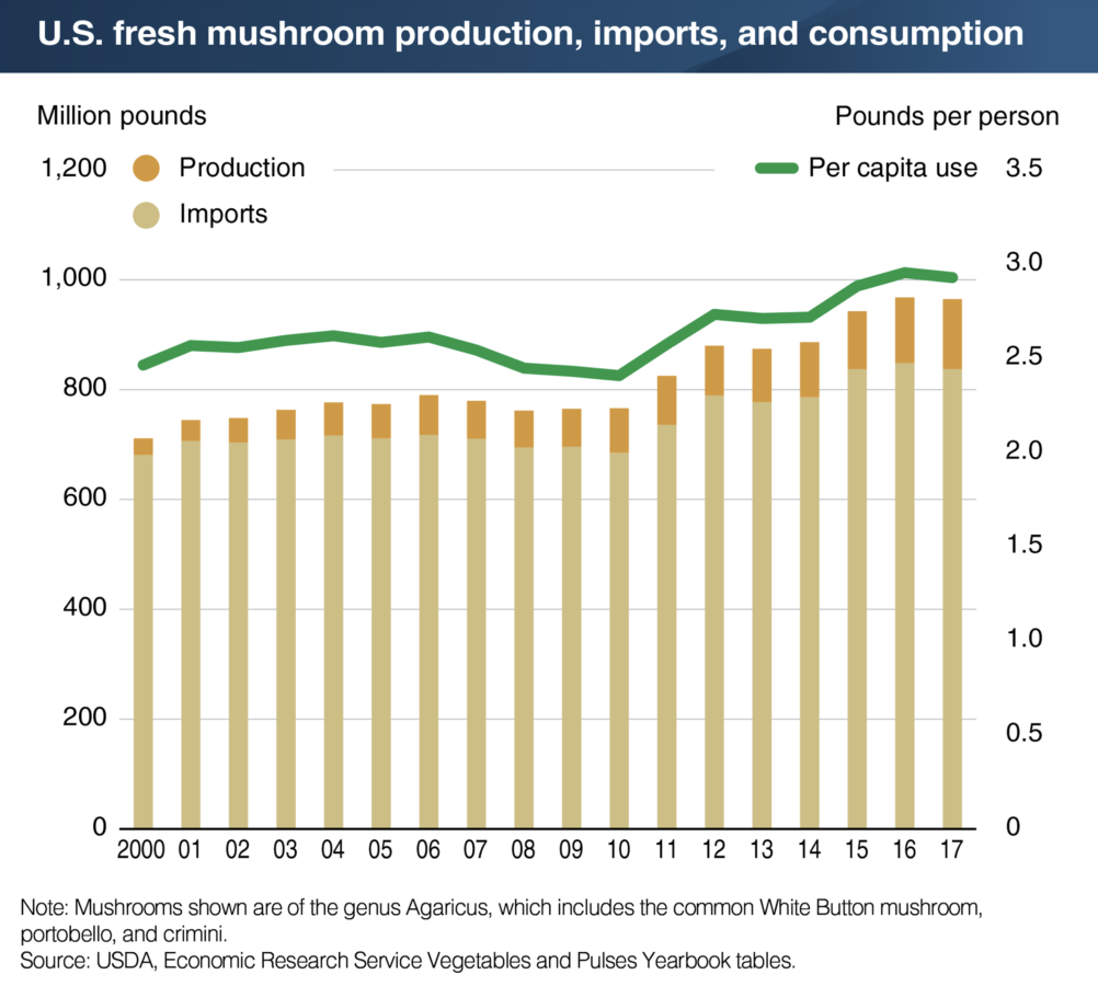 Mushroom production and consumption - US